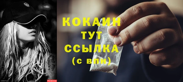 ешки Белокуриха