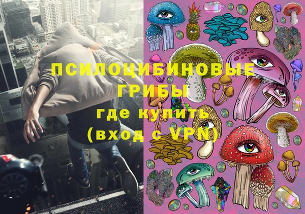 ешки Белокуриха