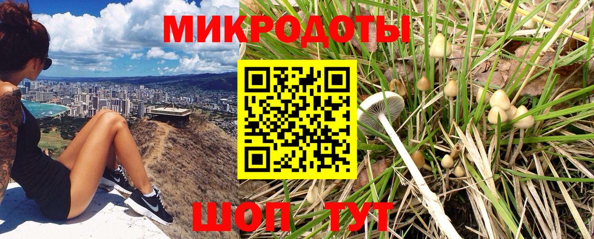 Биробиджан  Галлюциногенные грибы прущие грибы  Вход с VPN 